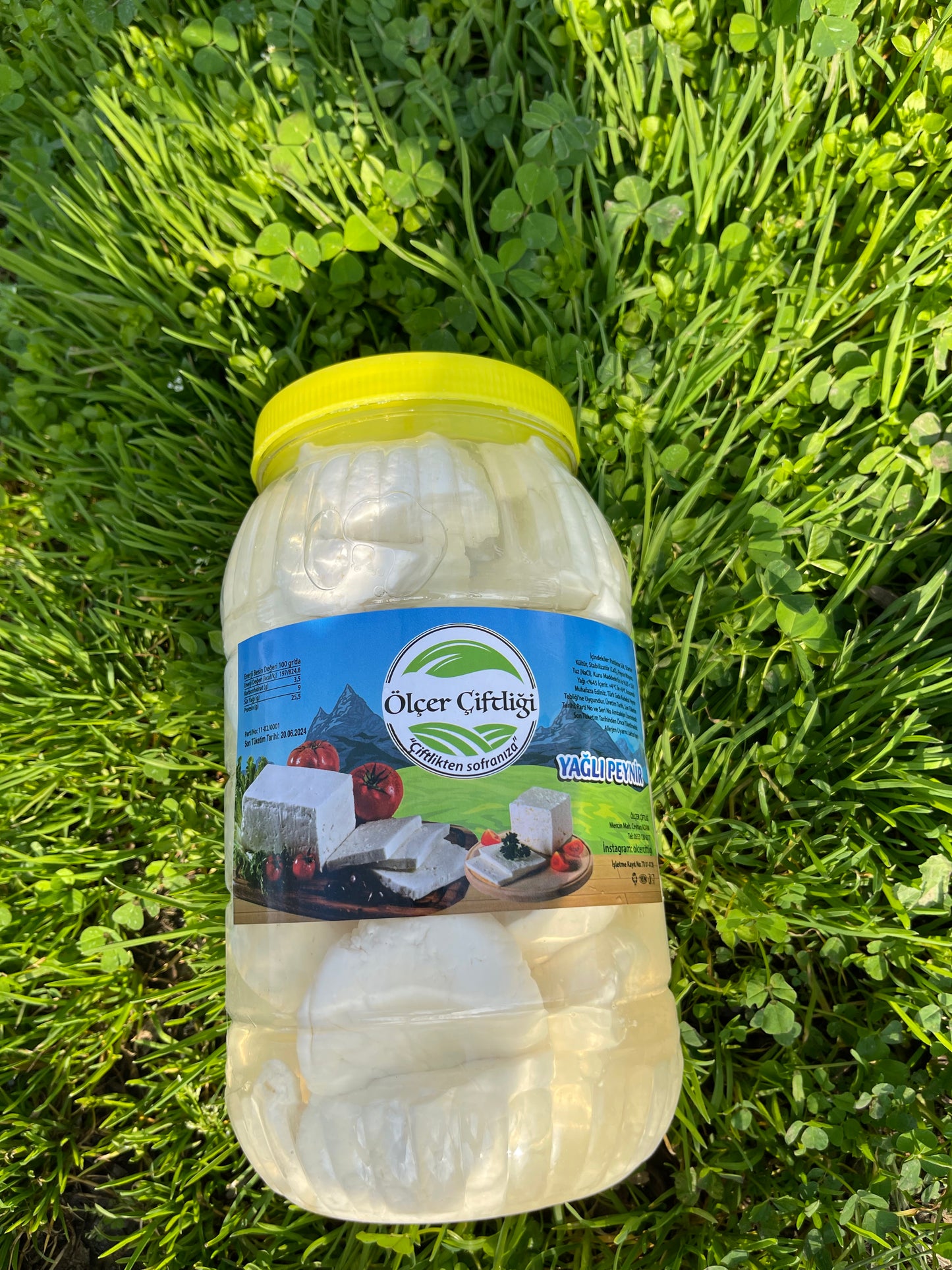 Salamura Antep Peyniri 1 Kg