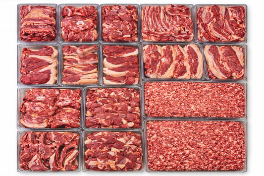 Avantajlı Gövde Karkas