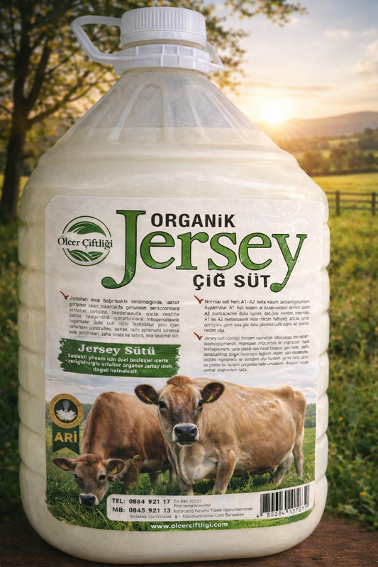 Jersey Sütü